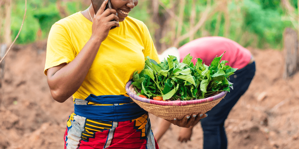 Farm to Feed is selected as one of ten Africa-based start-ups by Catalyst Fund